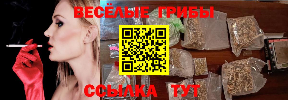 Сызрань  Псилоцибиновые грибы GOLDEN TEACHER  Вход с VPN 